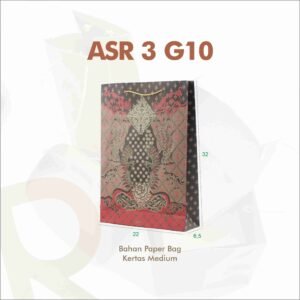 ASR 3 G10