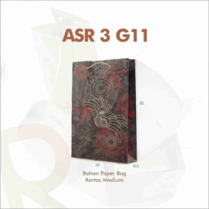 ASR 3 G11