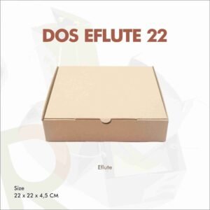 DOS EFLUTE 22