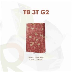 TB 3T G2
